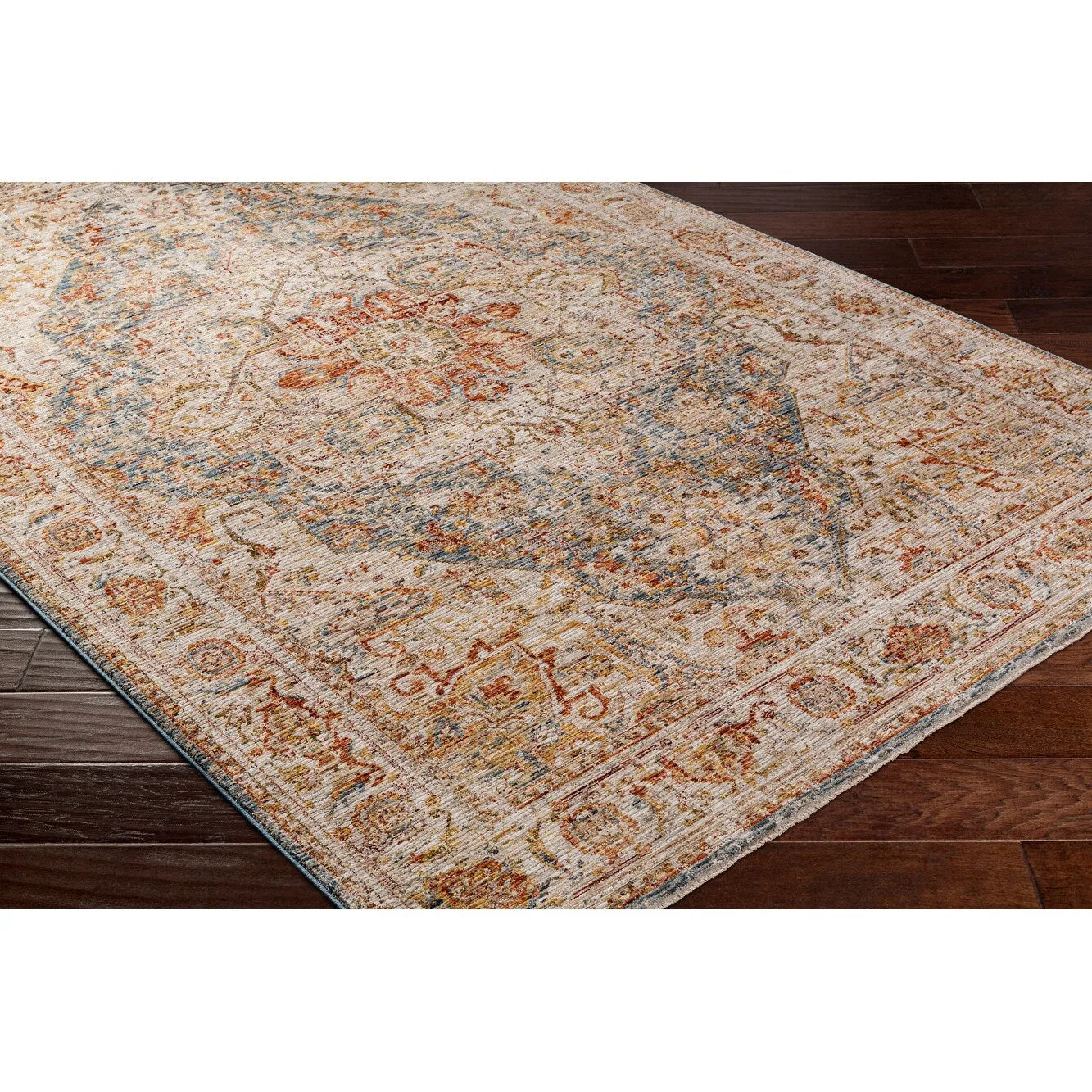 Zeynepe Traditional Medallion Area Rug