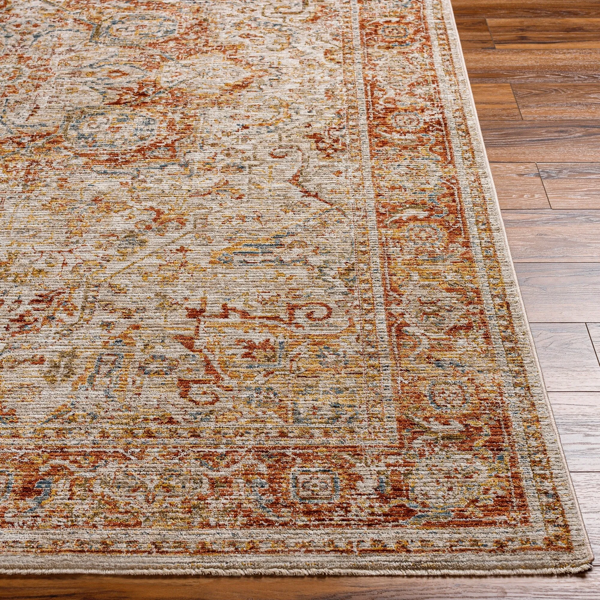 Zeynepe Traditional Medallion Area Rug
